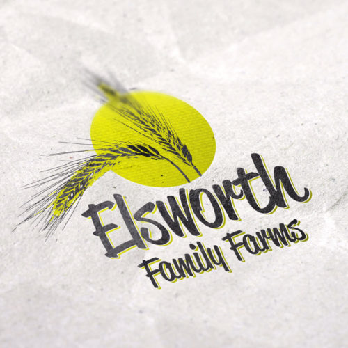 EFF, Logo Design, Corporate Identity